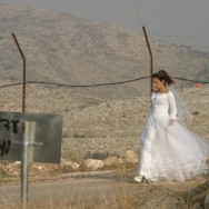 عروس سوری