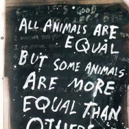 حیوانات برابرتر