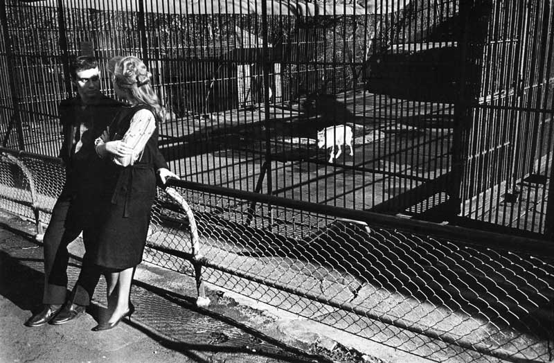 Garry-Winogrand--New-York,-c