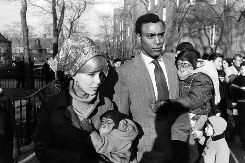 GARRY WINOGRAND :: Central Park Zoo, NYC, 1964
