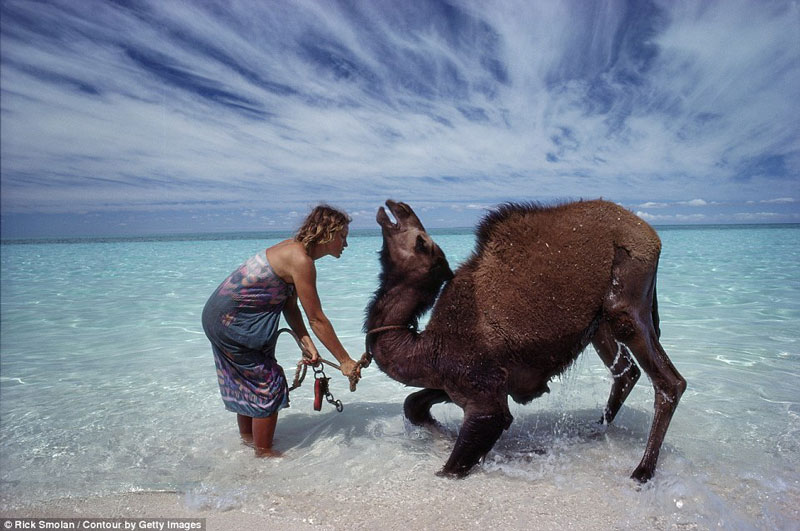 Robyn Davidson