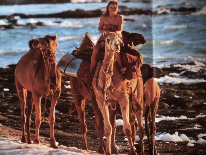 Robyn Davidson