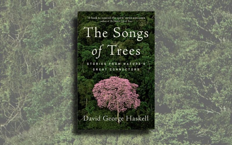 The songs of trees