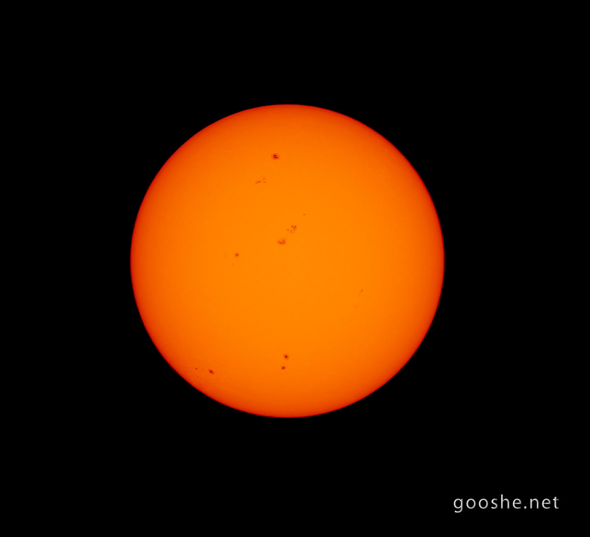 Sun 20-07-2023 By Gooshe